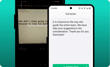 Grammar AI Checker
